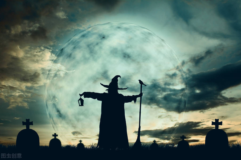 怒放的生命爆发,盛开的花朵怒放的生命