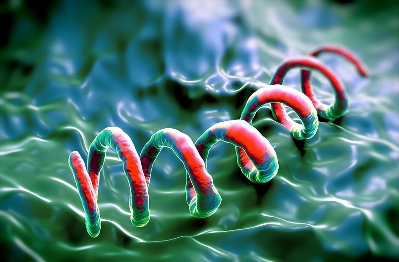 有哪些病可以通过性传播,通过性传播的病不能治愈的有哪些