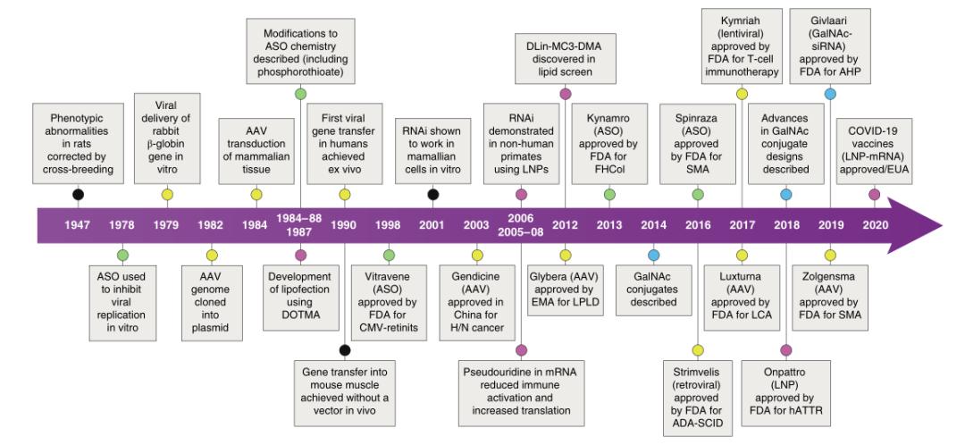 小核酸药物技术发展现状,核酸类药物开发的难点
