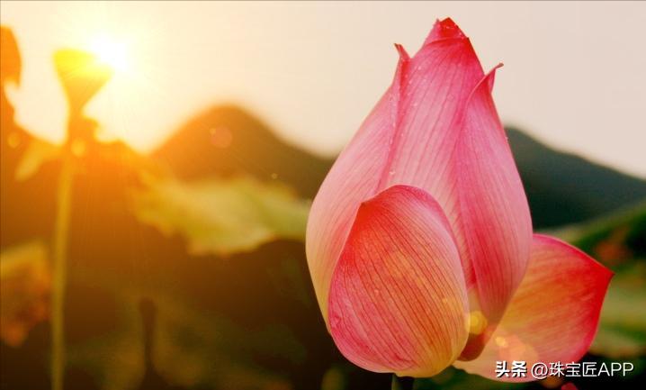 最好看的粉色宝石,粉色小众宝石