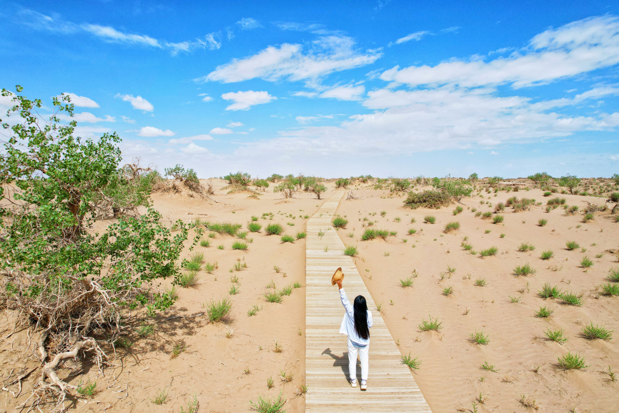 实拍格尔木胡杨林，海拔2800米，连绵1700亩，苍凉辽阔，拍照超酷