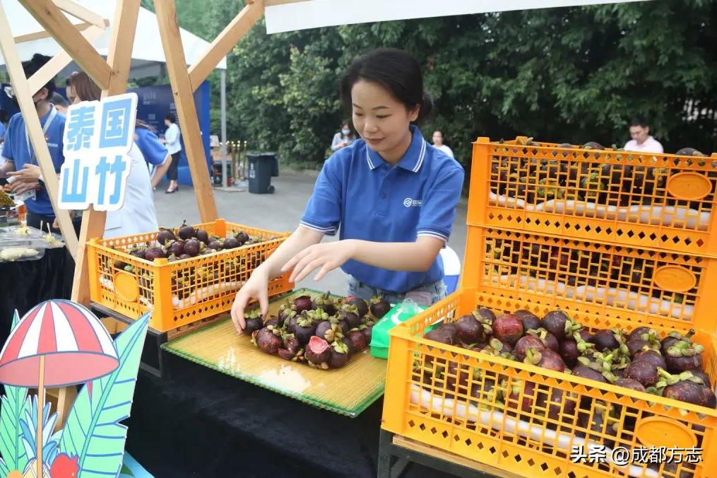 月鉴文章,月鉴贾平凹