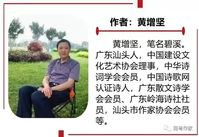 菊花散文优美段落,菊花短文阅读