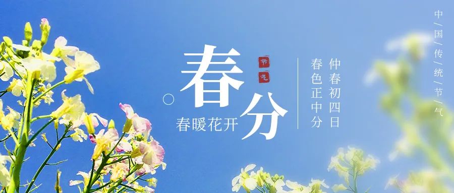 今日春分完整版视频,今日春分全文及解析