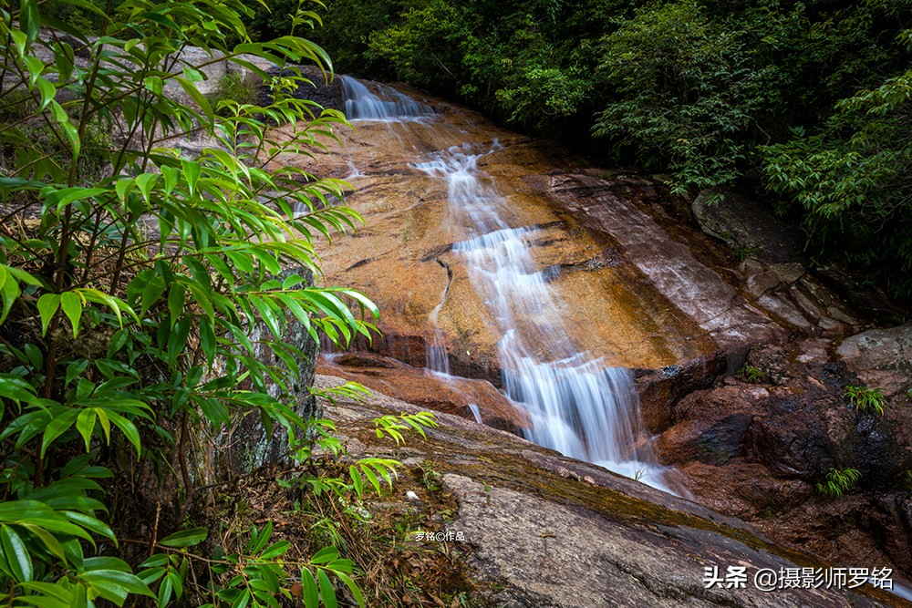 永州之野田园综合体,永州之野农产品