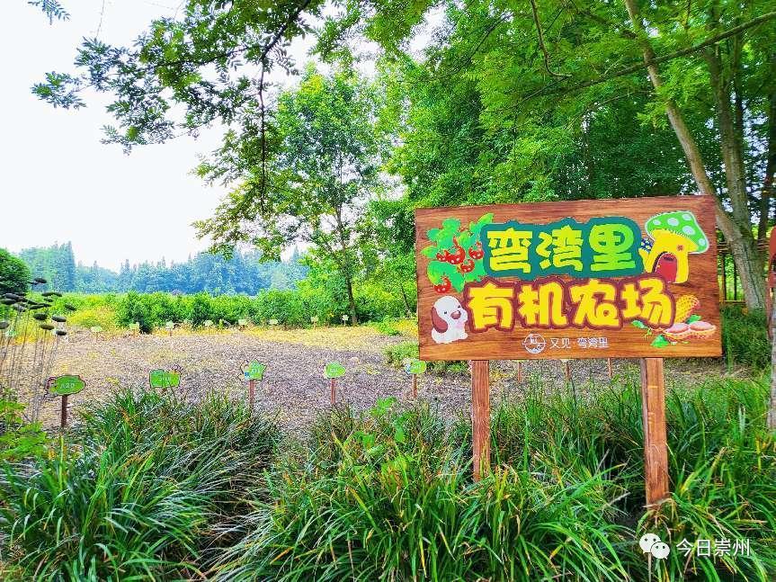 又一超好玩的亲水项目来啦！嗨翻~