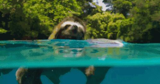 暑假怎么教育孩子,暑假怎么教育初中儿子