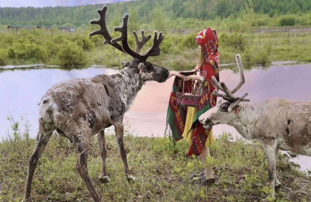 呼伦贝尔打卡餐厅,呼伦贝尔旅游美食推荐