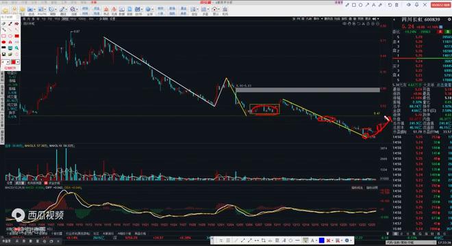 四川长虹明天走势预测,四川长虹下周走势如何