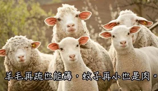 微信怎么不使用手机号注册,注册时显示手机号已被使用怎么办