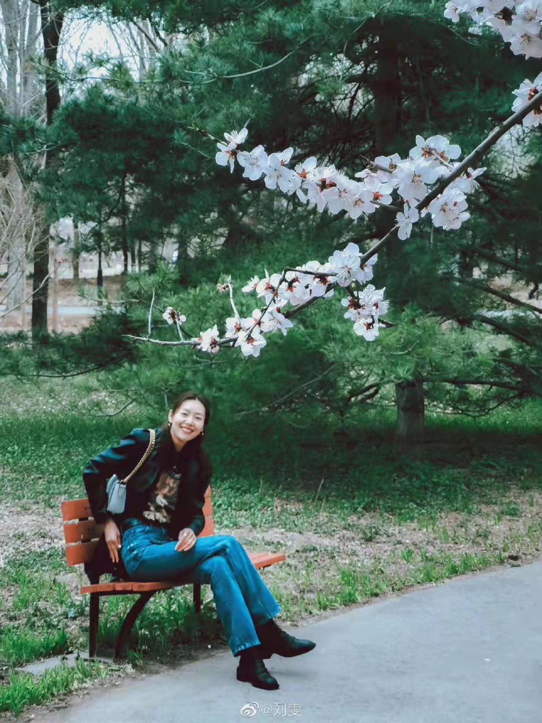 刘雯夏日港风,刘雯夏日港风大片