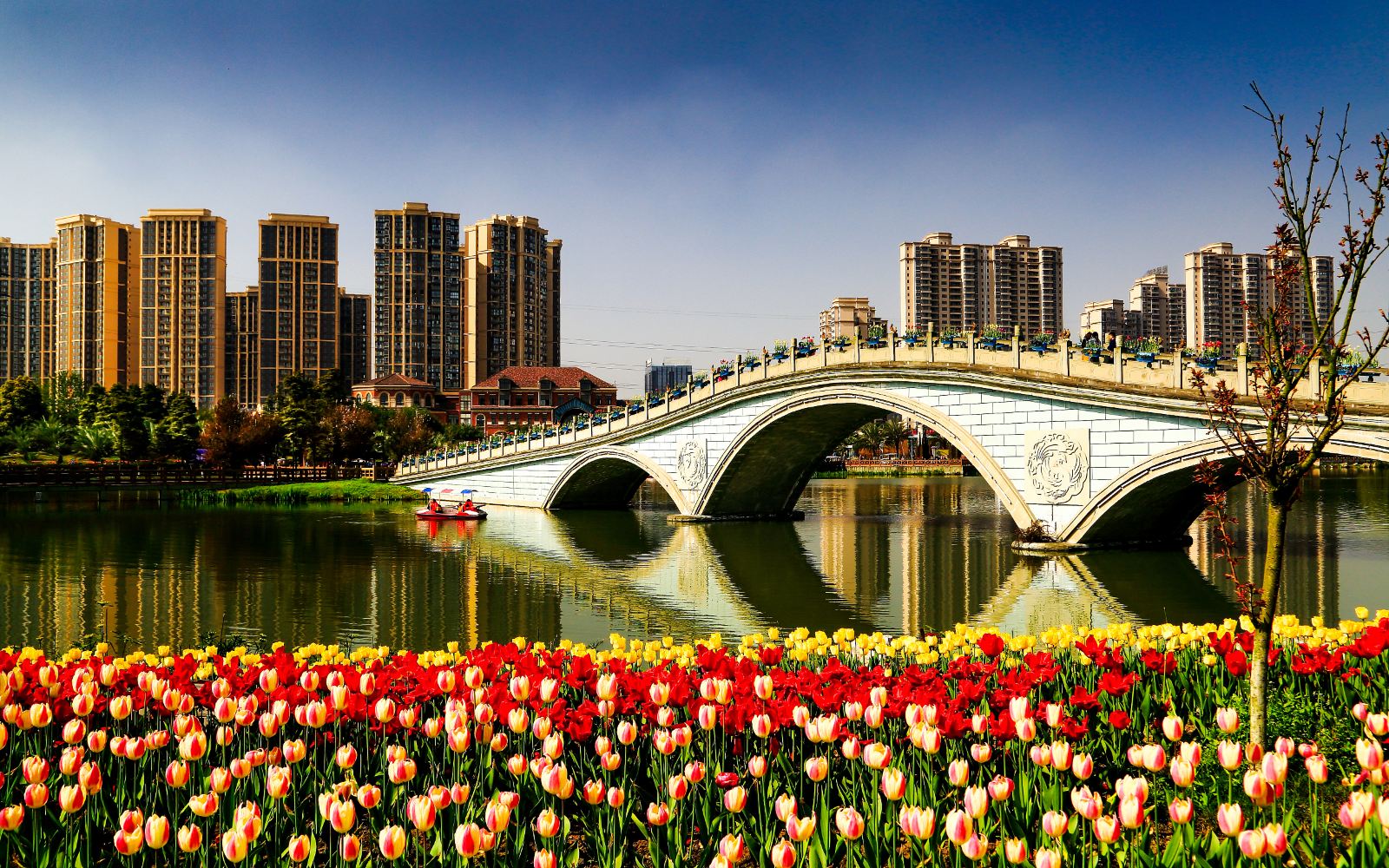 成都周边春季赏花景点推荐,成都赏花景点推荐一下