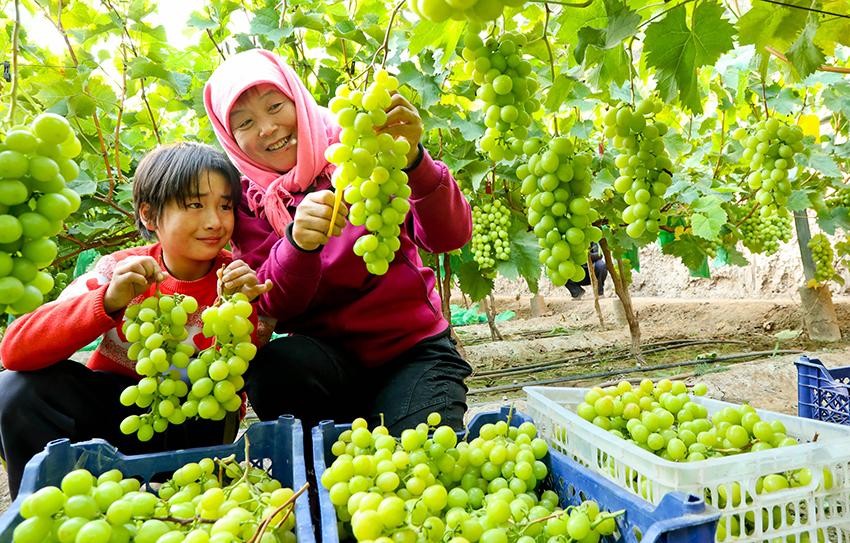 韩流是不是又要来了,韩流又要来了吗