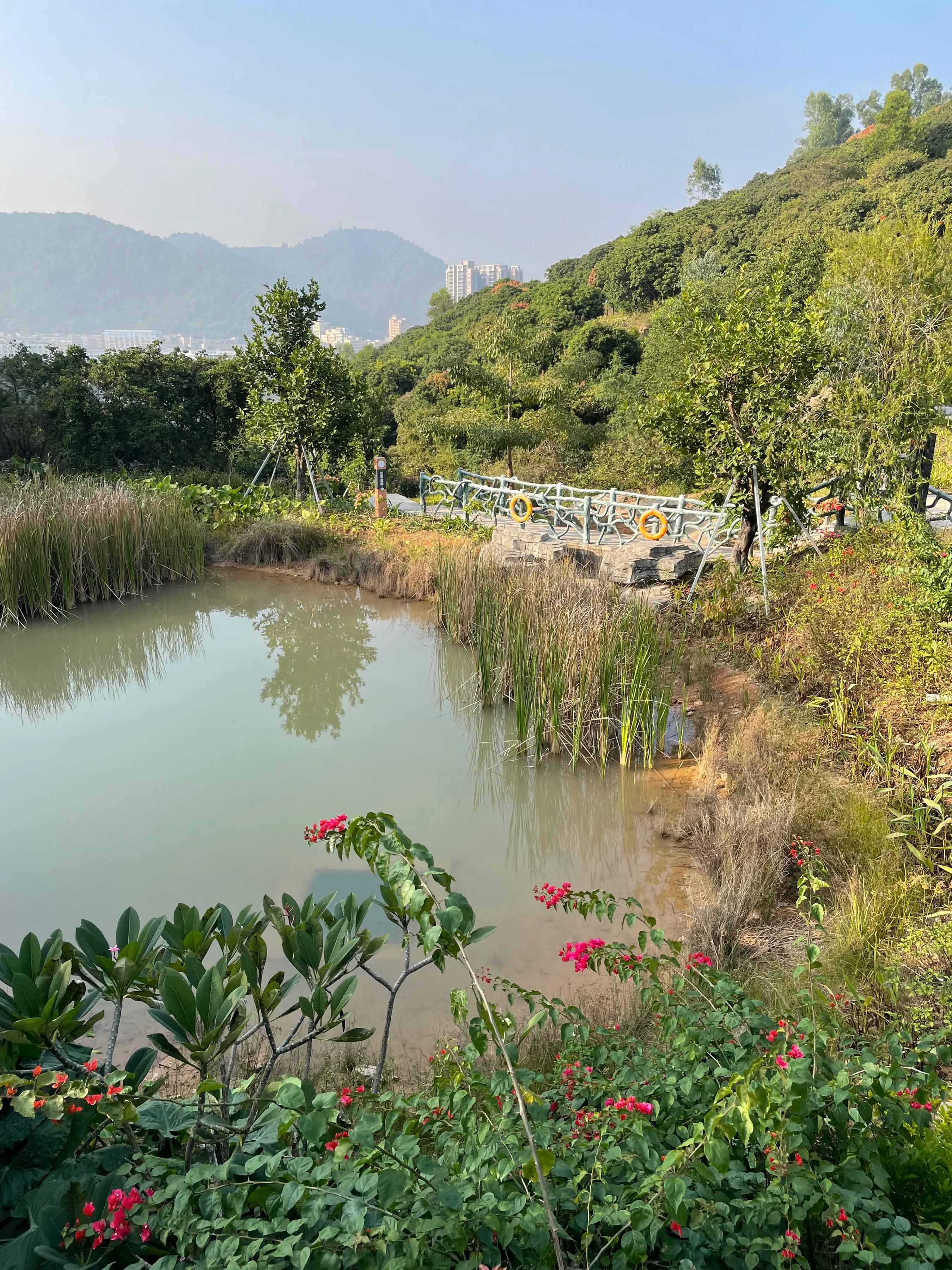 企龙山生态公园游玩攻略,龙山公园风景区