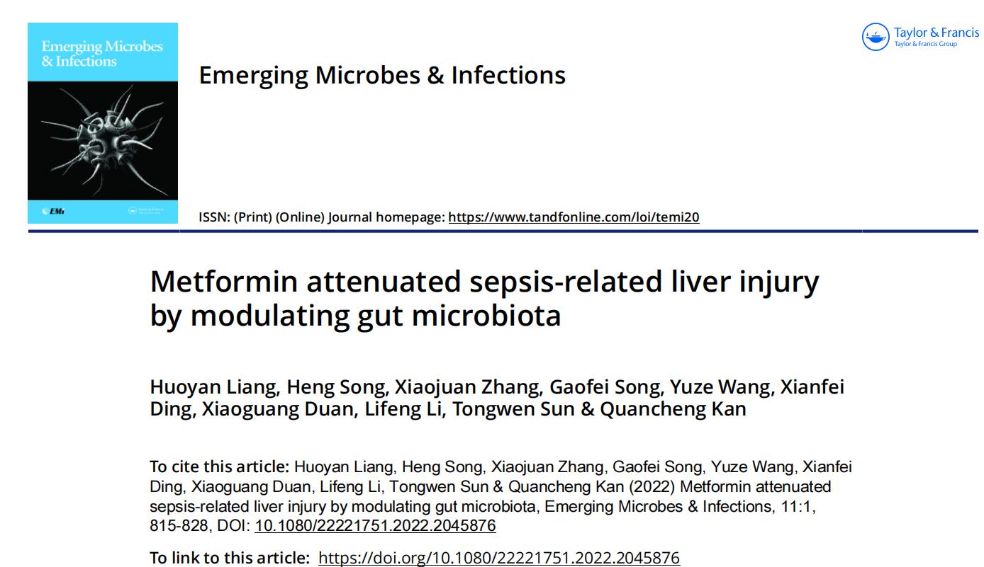 孙同文教授团队脓毒症研究新发现：二甲双胍可改善脓毒症相关肝损伤、西维来司他钠可提高脓毒症大鼠存活率
