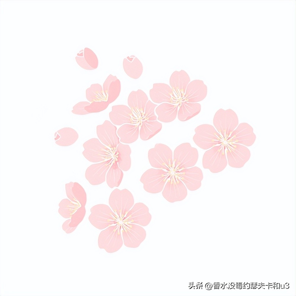 没想到400多的价格让我拥有了2000多的Osang