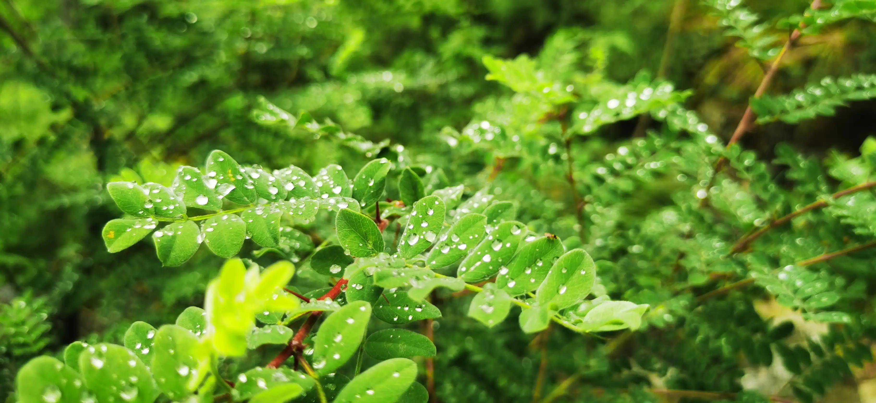 婊″煄鐜夌殗鍧ㄦ櫙鍖哄ソ鐜╁悧鍊煎緱鍘诲悧,婊″煄鐜夌殗鍧ㄩ渶瑕佸涔呭埌灞遍《