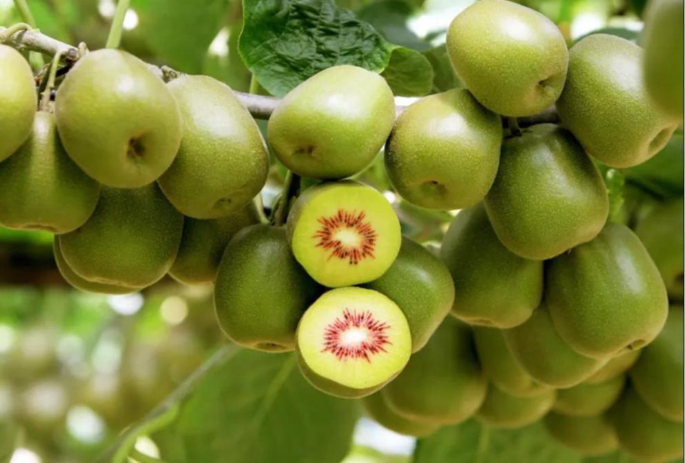 女儿节值得去的景区,女儿节景区免费游玩