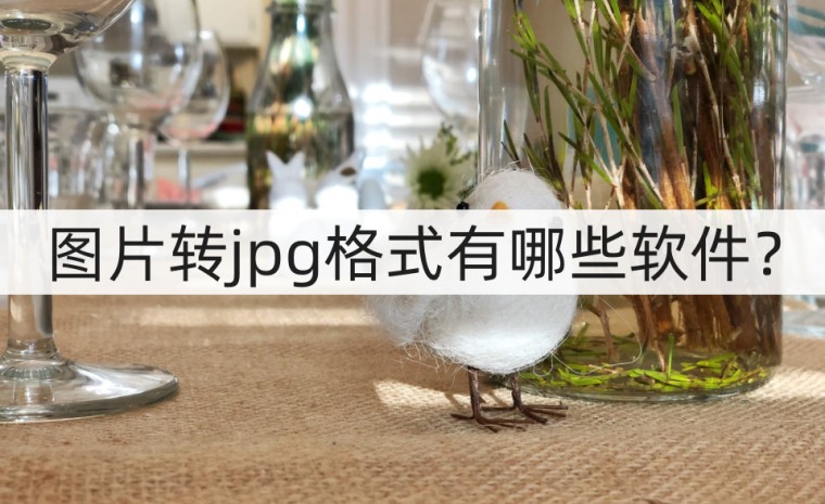 怎么把jpg格式图片导入精雕软件,照片jpeg格式转换jpg的软件