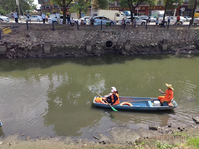 大良红岗开展水质研习活动，40对亲子家庭一起美岸