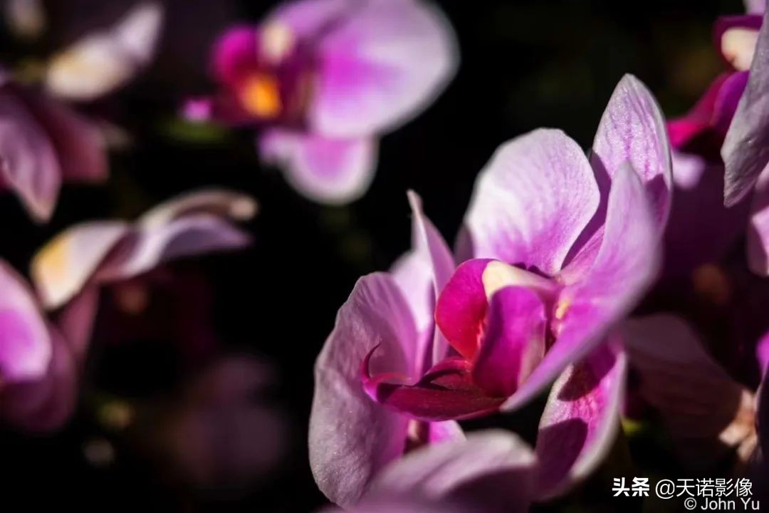 理光GRIIIX相机，可装进口袋的高画质扫街神器