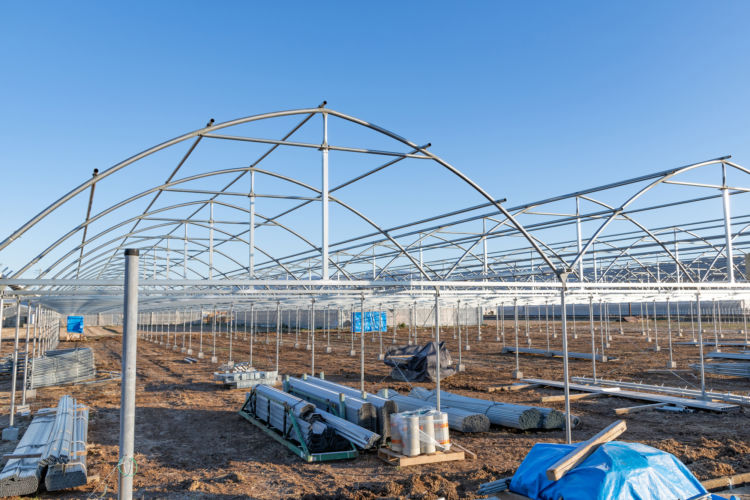 高端温室大棚造价是多少,生态温室每平多少钱