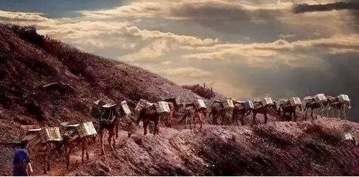 地主李润之被处死,李润之被处死原因