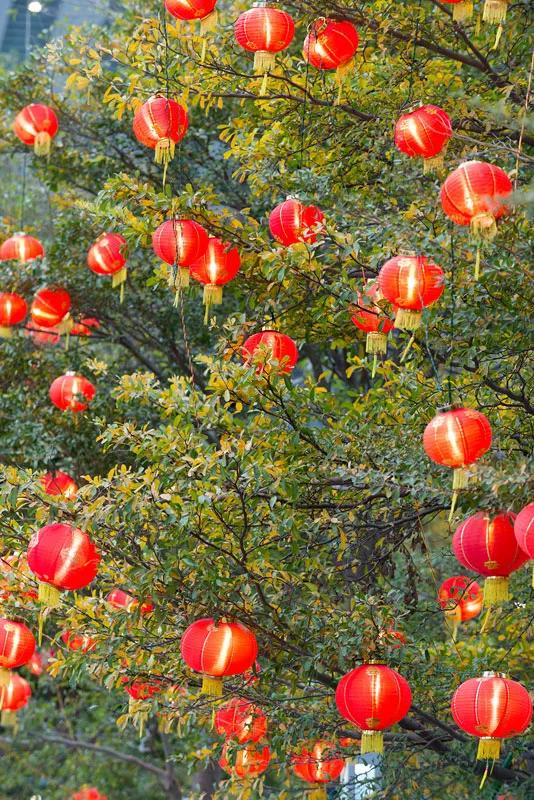 分享一眼惊艳的图片,分享一个绝美图片