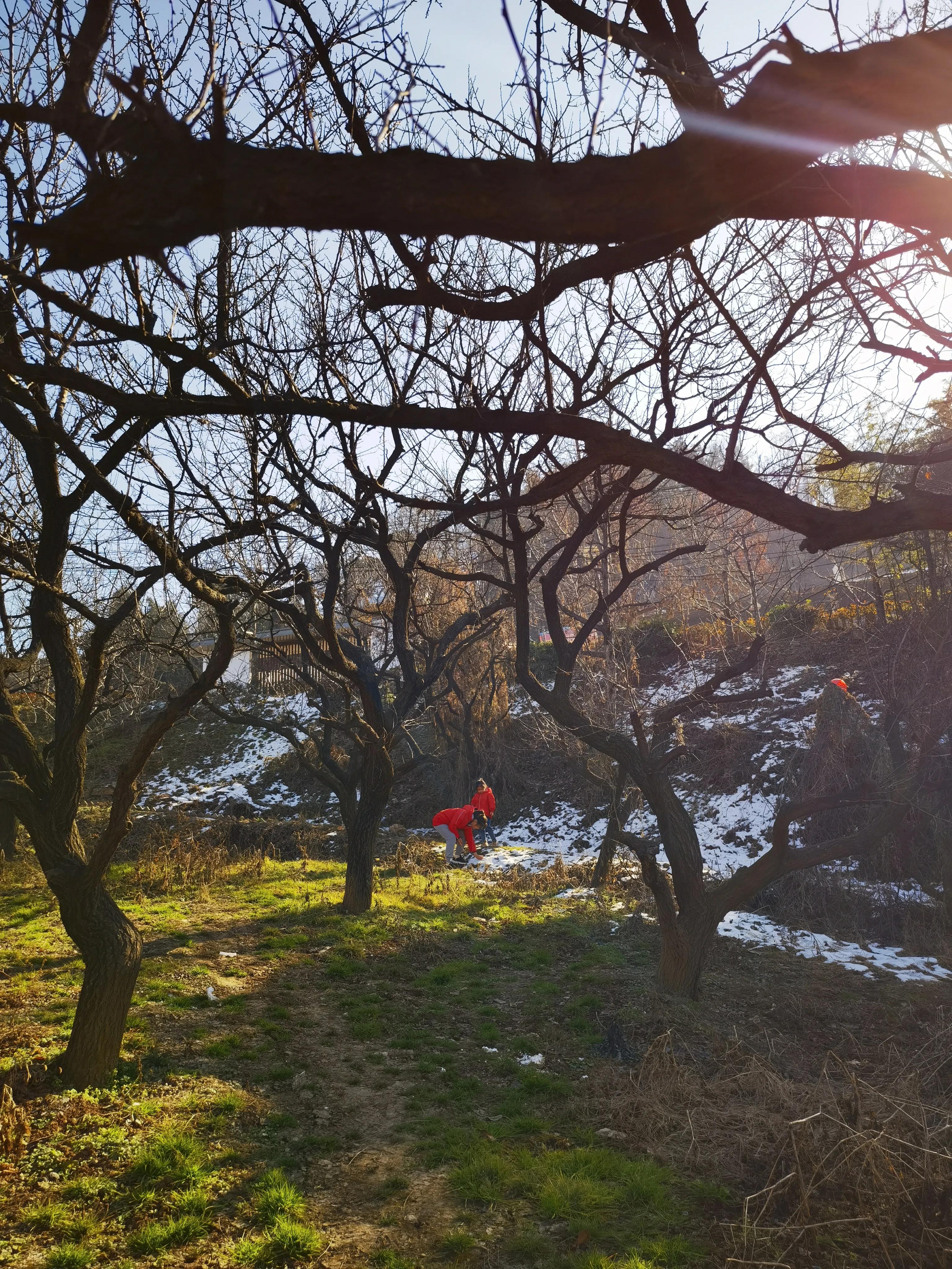 西安环山公路网红打卡,临潼环山路网红打卡地