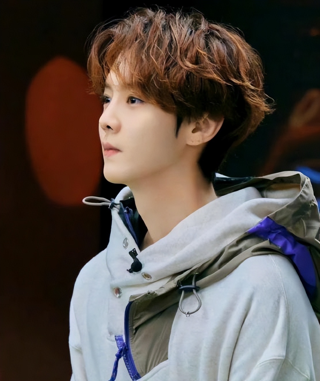 鹿晗将参与解说世界杯,鹿晗解说世界杯哪几场比赛