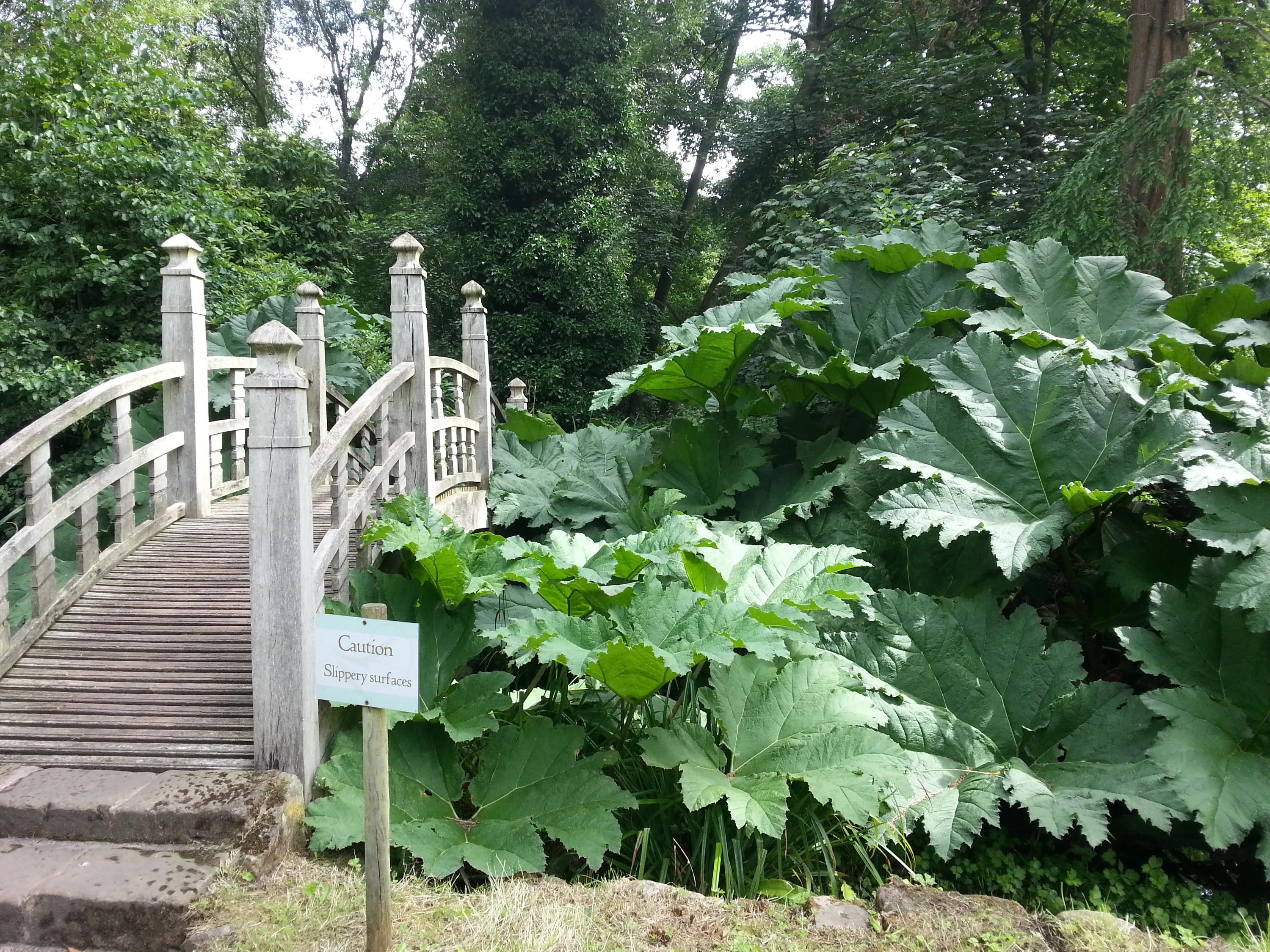 英国伯明翰留学,英国之旅伯明翰