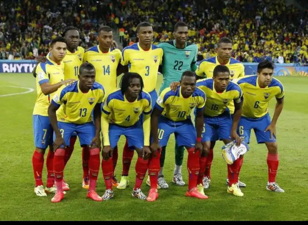 卡塔尔0-2厄瓜多尔门将,厄瓜多尔胜卡塔尔后卡塔尔情况