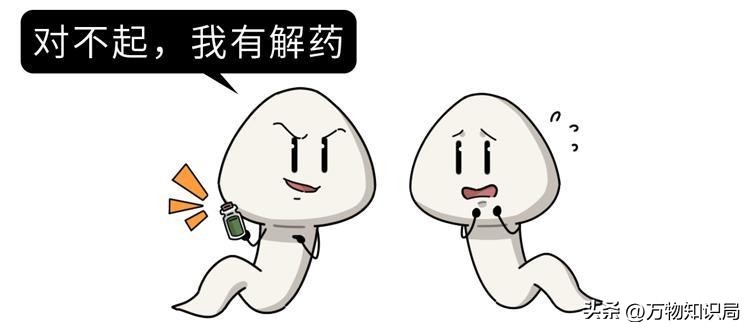 进入女性体内后，没“受精”成功的精子都去哪儿了？既好笑又心疼