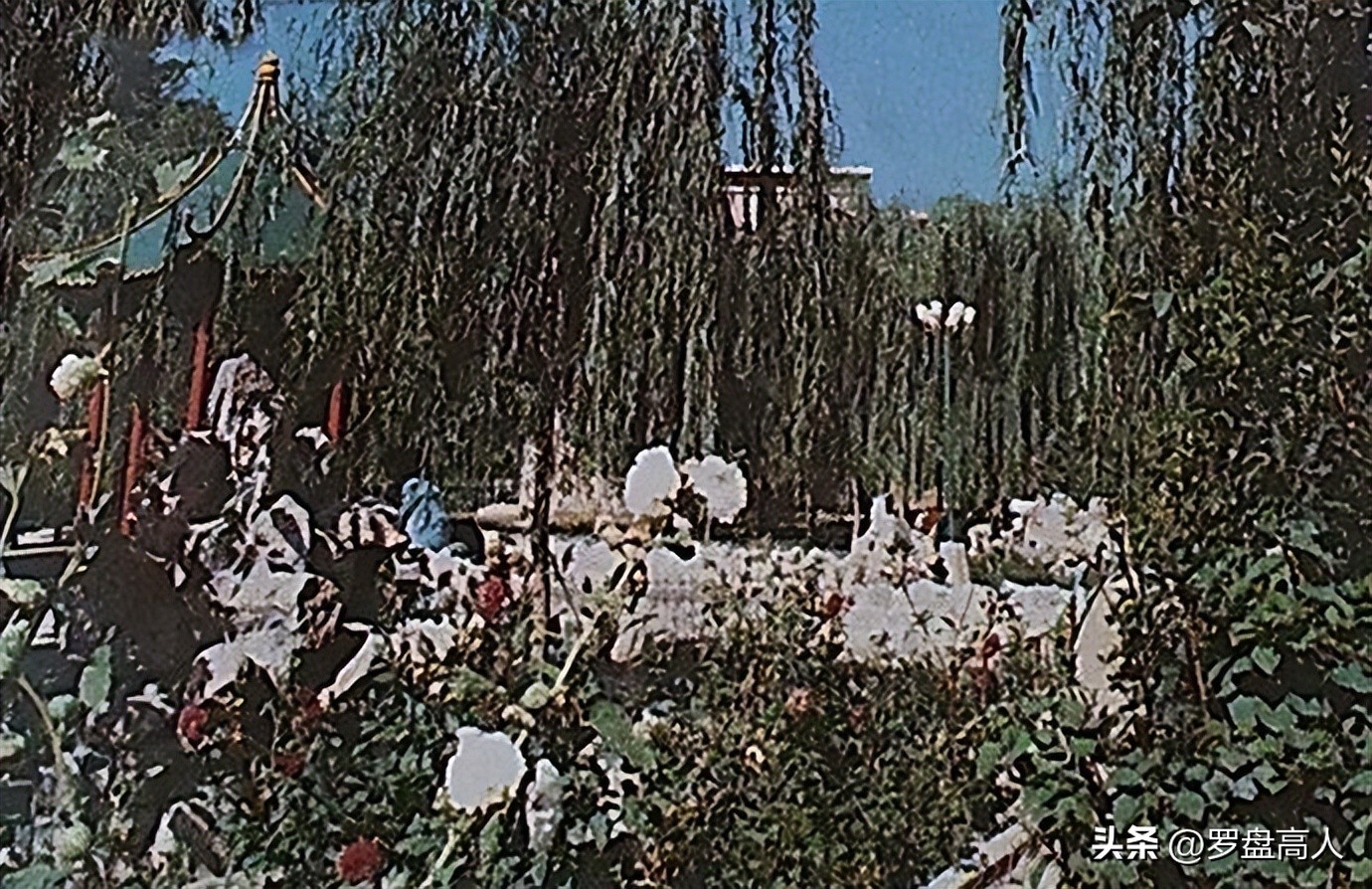 高校珍贵影像,80年代山西大学图