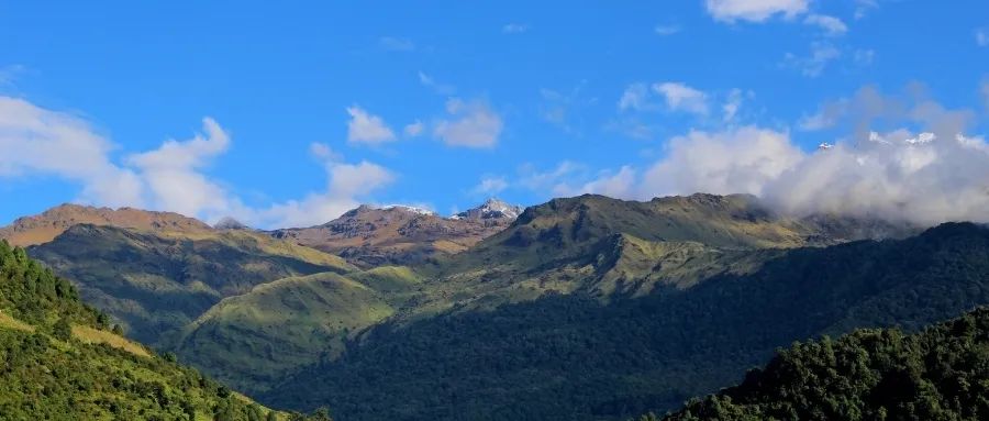 检察权运行机制建设,检察权的内部监督制约的意义