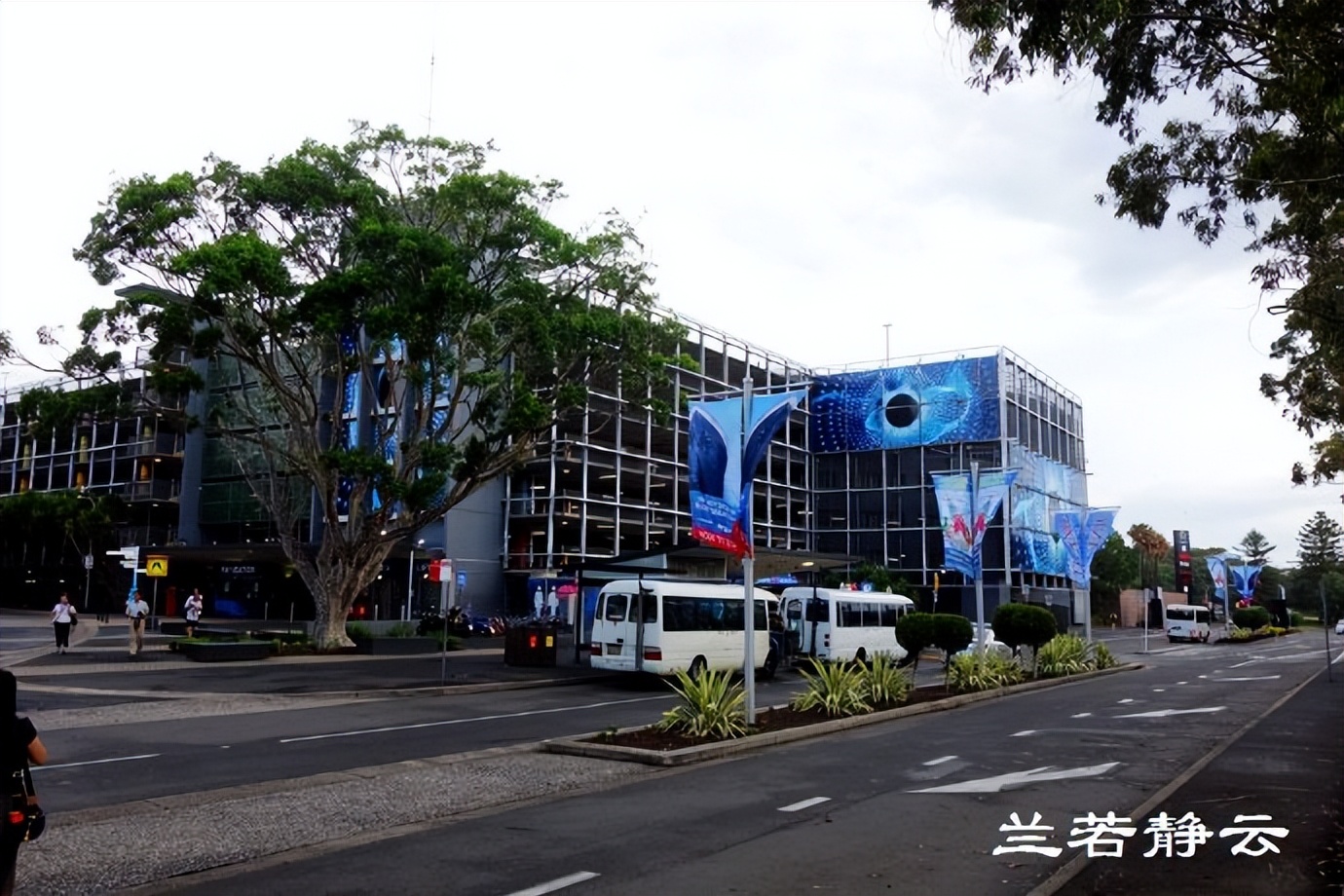 澳洲悉尼街拍,澳洲街拍