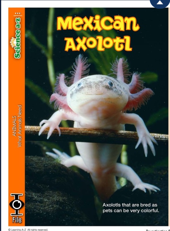 什么是大名鼎鼎的LearningA-Z?全球最详细的中文版图文视频介绍