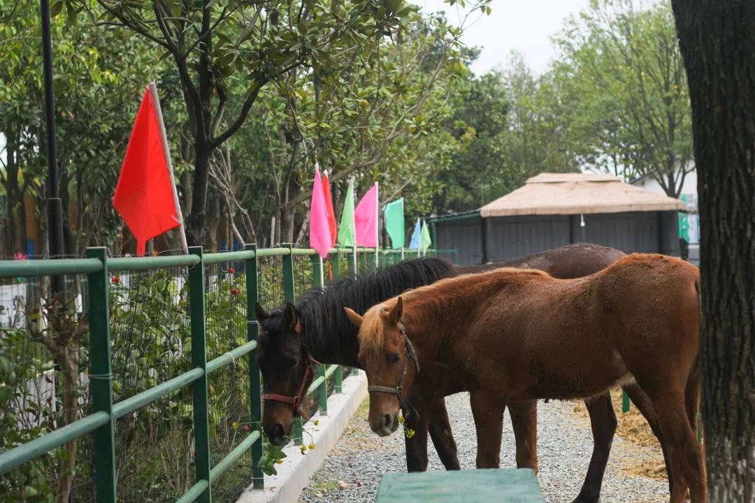 长沙攻略非热门,长沙旅游攻略免费存行李