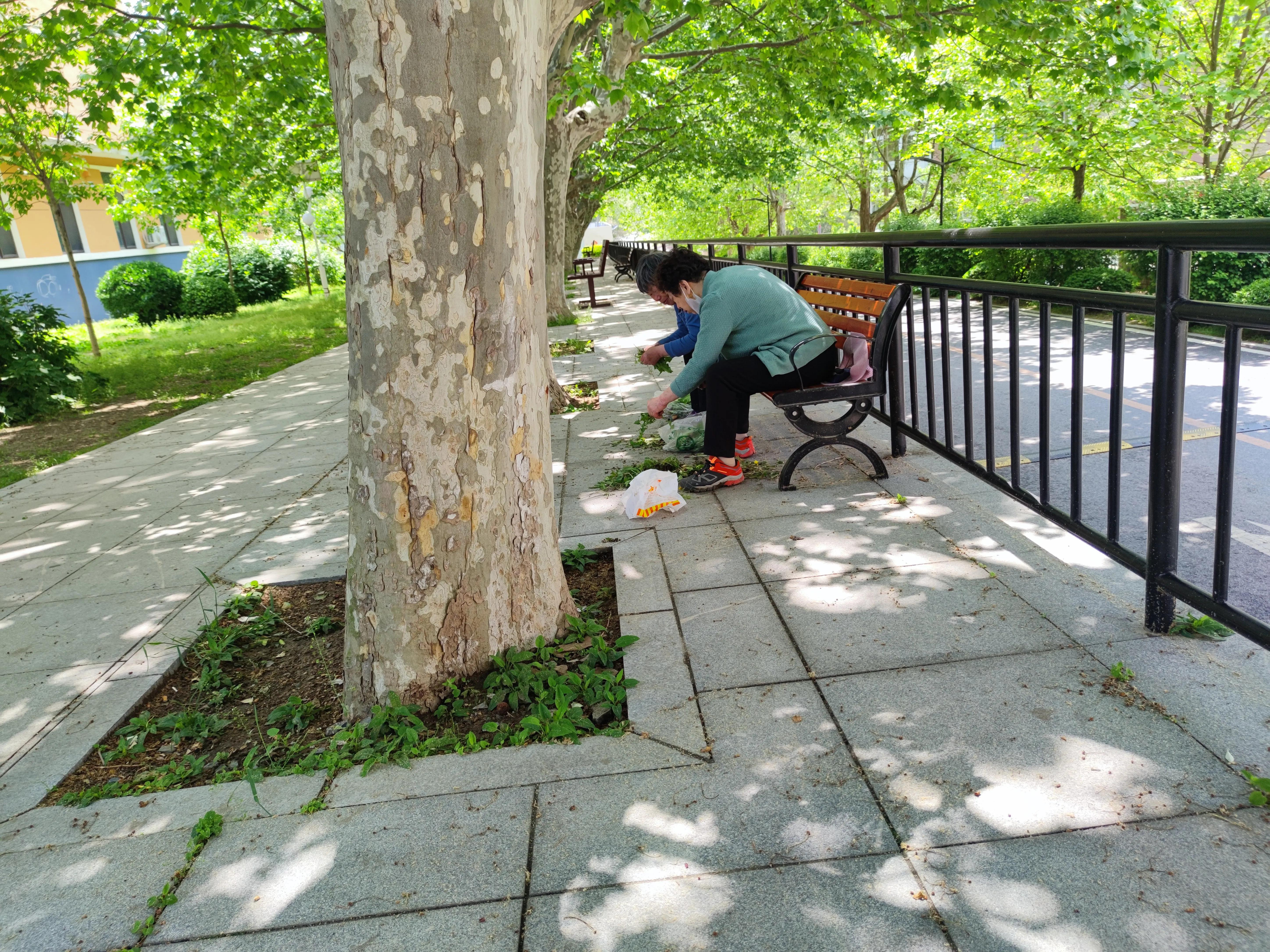 东北退休大妈带孙三年,总结出:4事不做,3物不吃,带孙辈的要懂