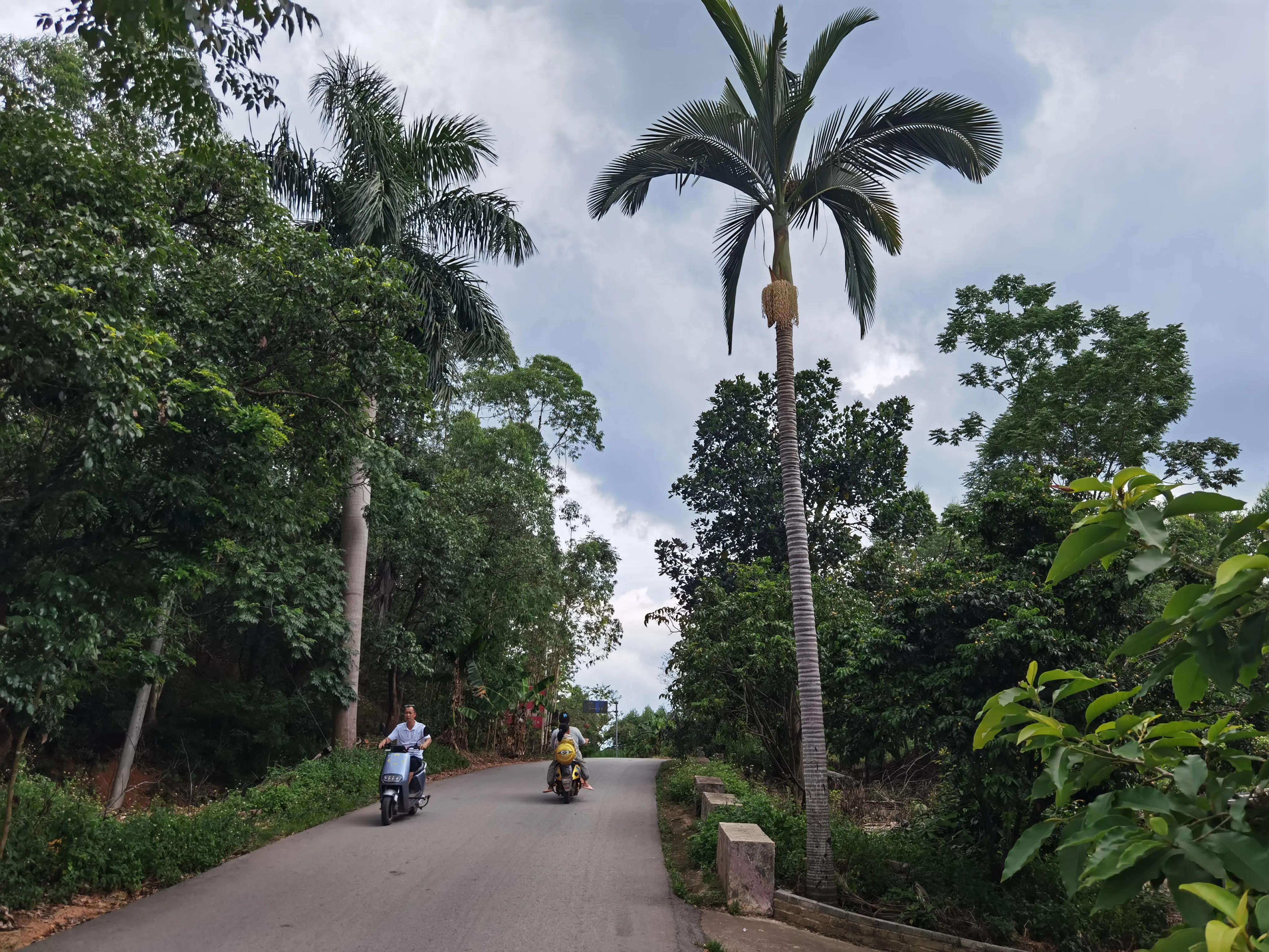 我眼中的扬美古镇，古朴又清新，是个美丽的古镇