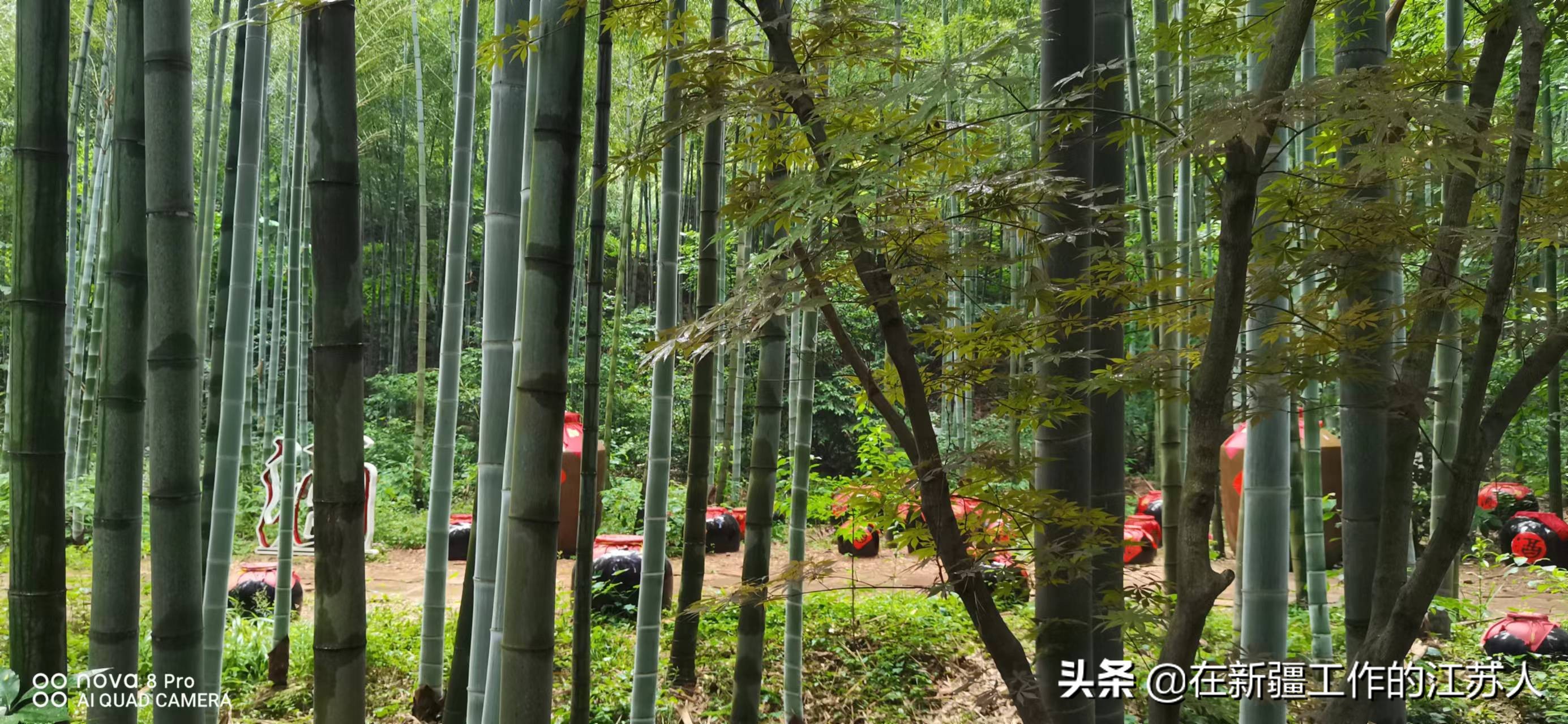 南山竹海是玩什么的,南山竹海最好的地方