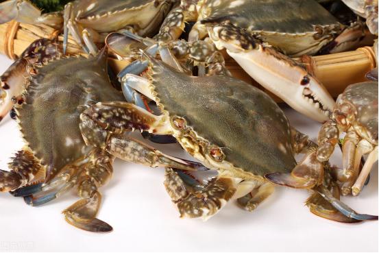 教你挑选大闸蟹六大诀窍,卖大闸蟹怎么赚钱