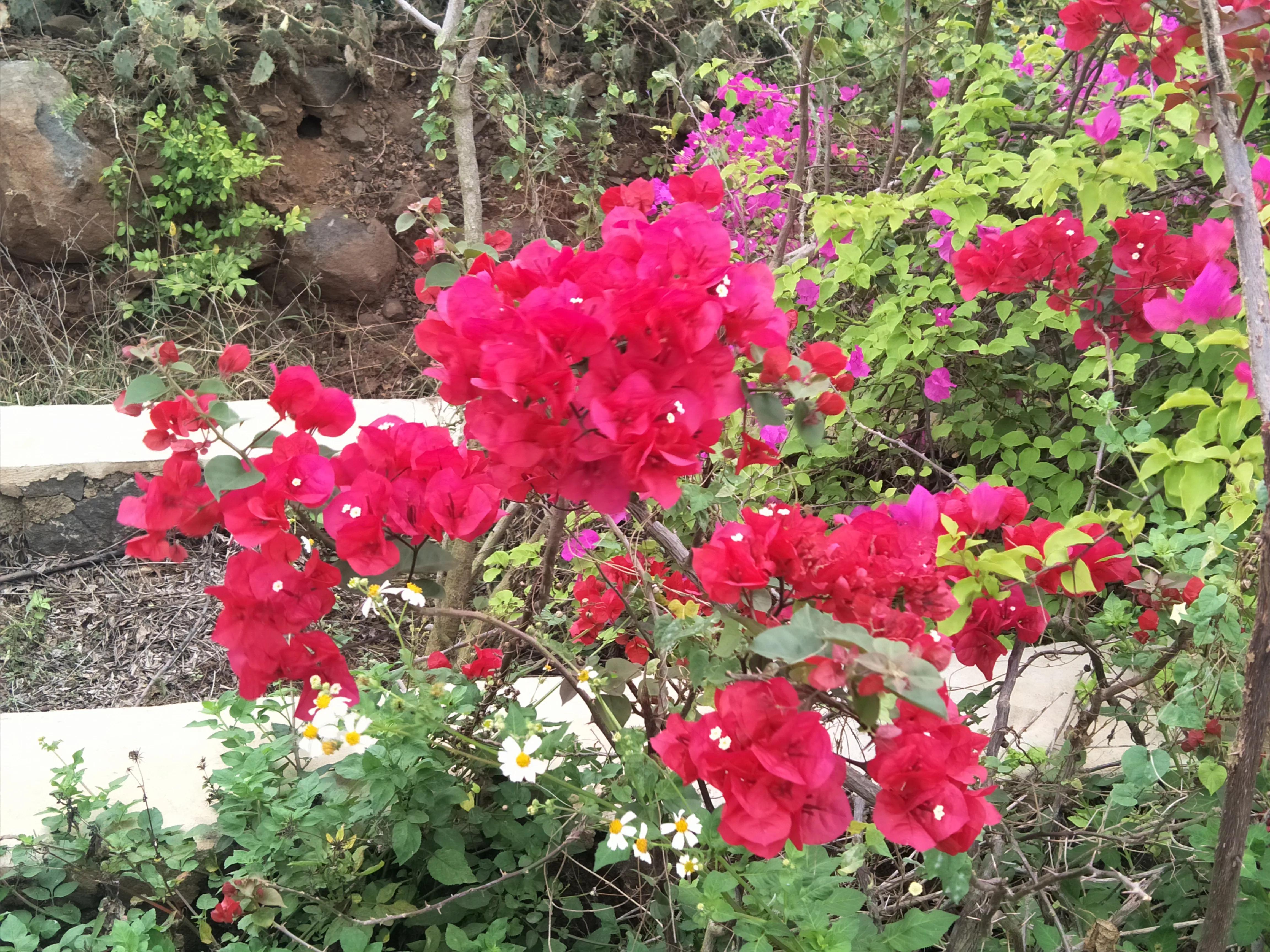 屈原跳江简短的故事,屈原为什么跳江而死呢