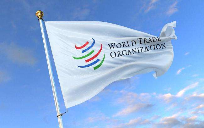 美国取消光伏产品进口关税政策,美国放开光伏关税