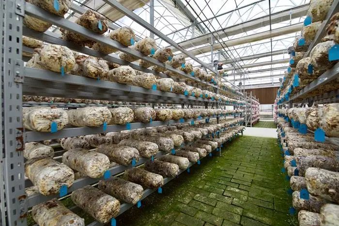 企业安全与质量管理体系,提高企业产品质量安全管理水平