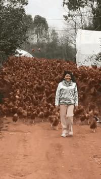 电脑cpu温度高的图片,电脑cpu温度对照表