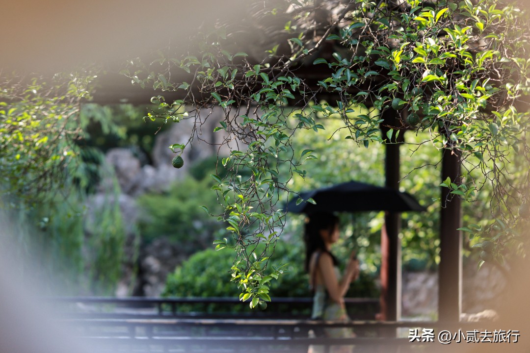 南京瞻园汉服摄影,南京瞻园园林山水布局