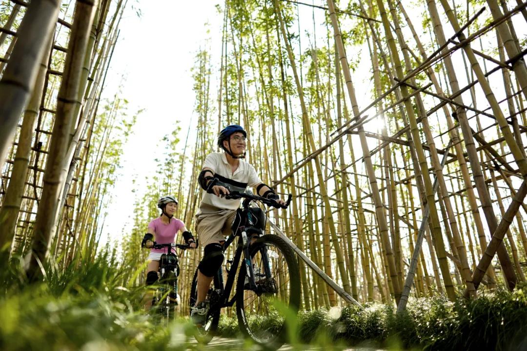 安吉慢谷洋房最新信息,湖州安吉慢谷