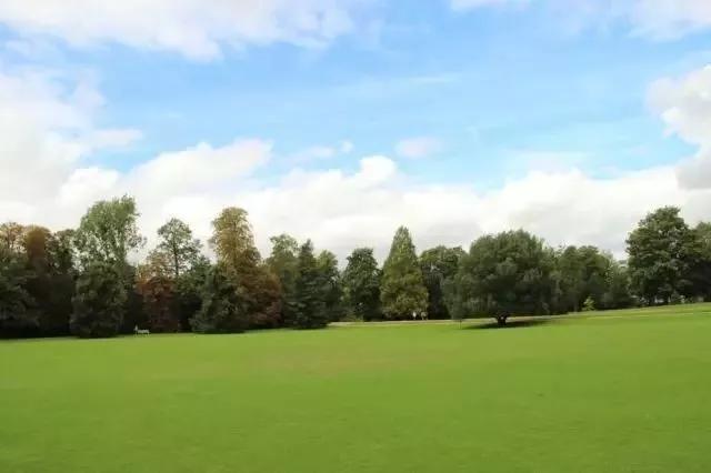 我是中医感悟分享,我自学中医的十年感受和经验