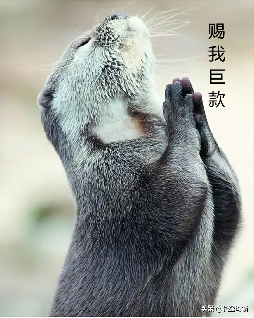 巨款到账了怎么办,财务自由的人如何管理自己的钱